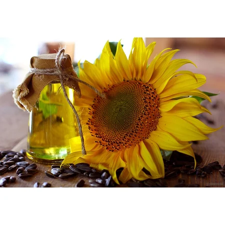 Fortune Sunflower Oil 1 L